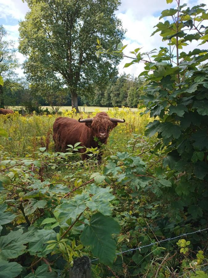 B & B Twijfelveld 阿森 外观 照片