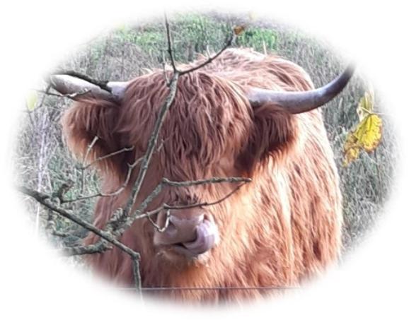 B & B Twijfelveld 阿森 外观 照片